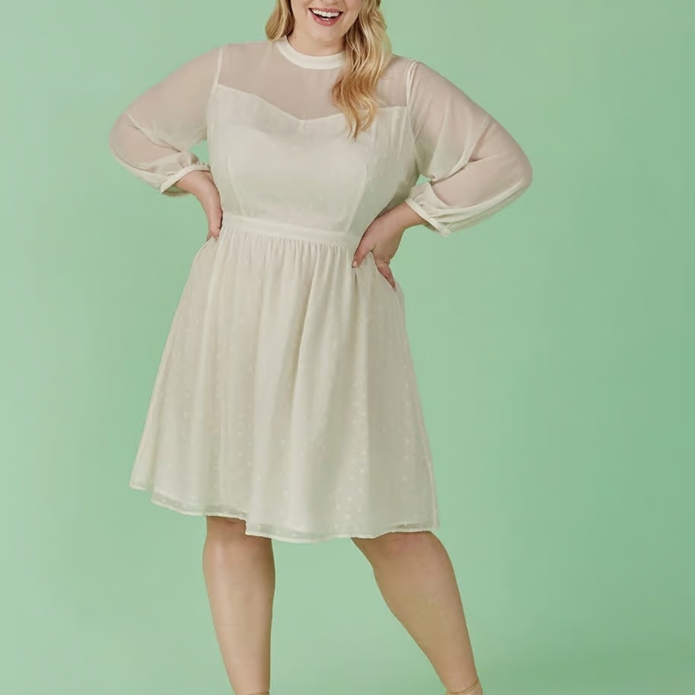 Sheerly Blessed In Bliss Fit and Flare Dress